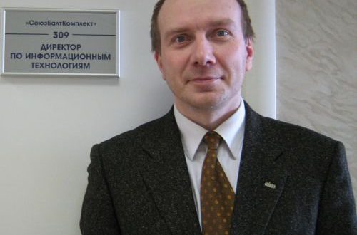 Директор по информационным технологиям